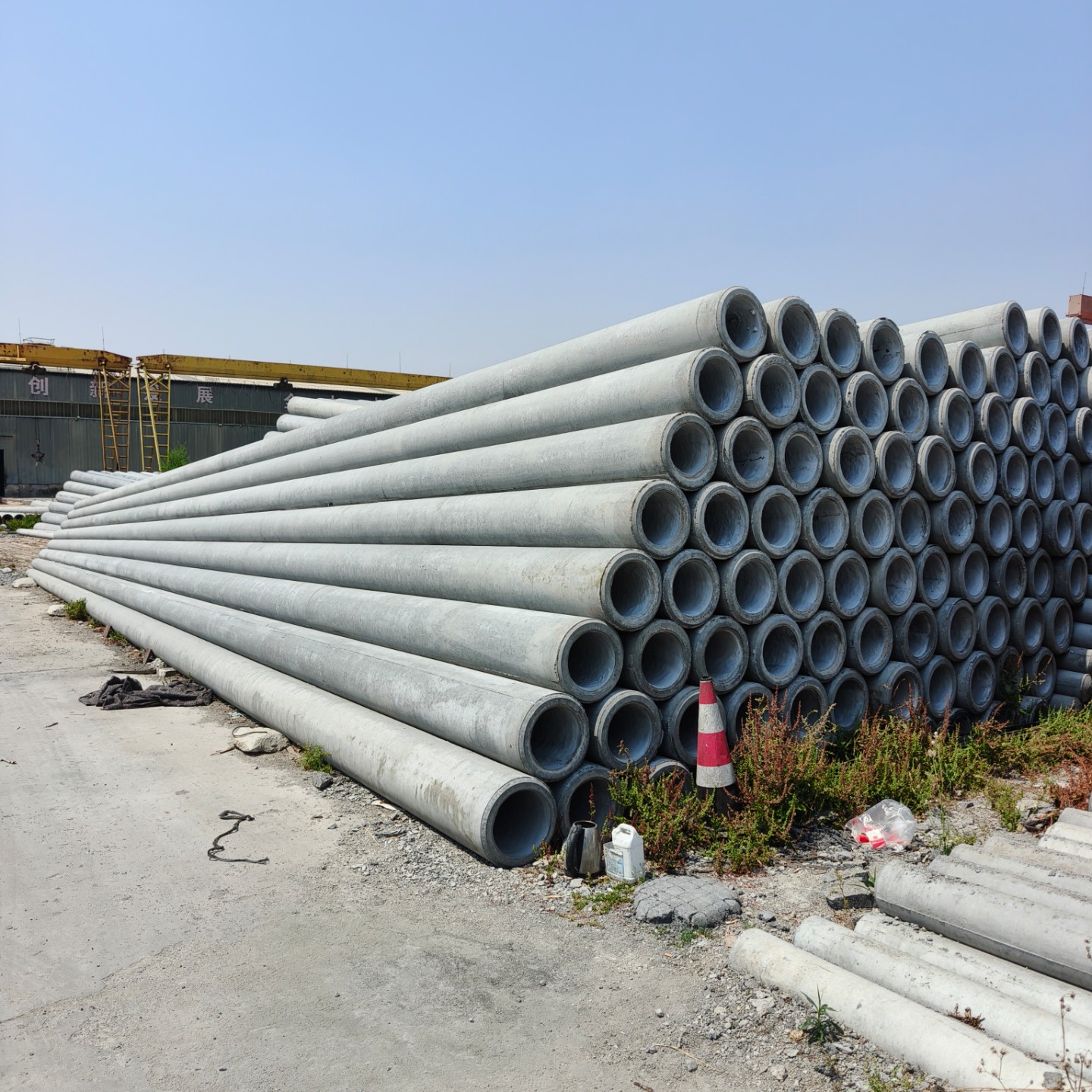 沧县10米水泥电杆