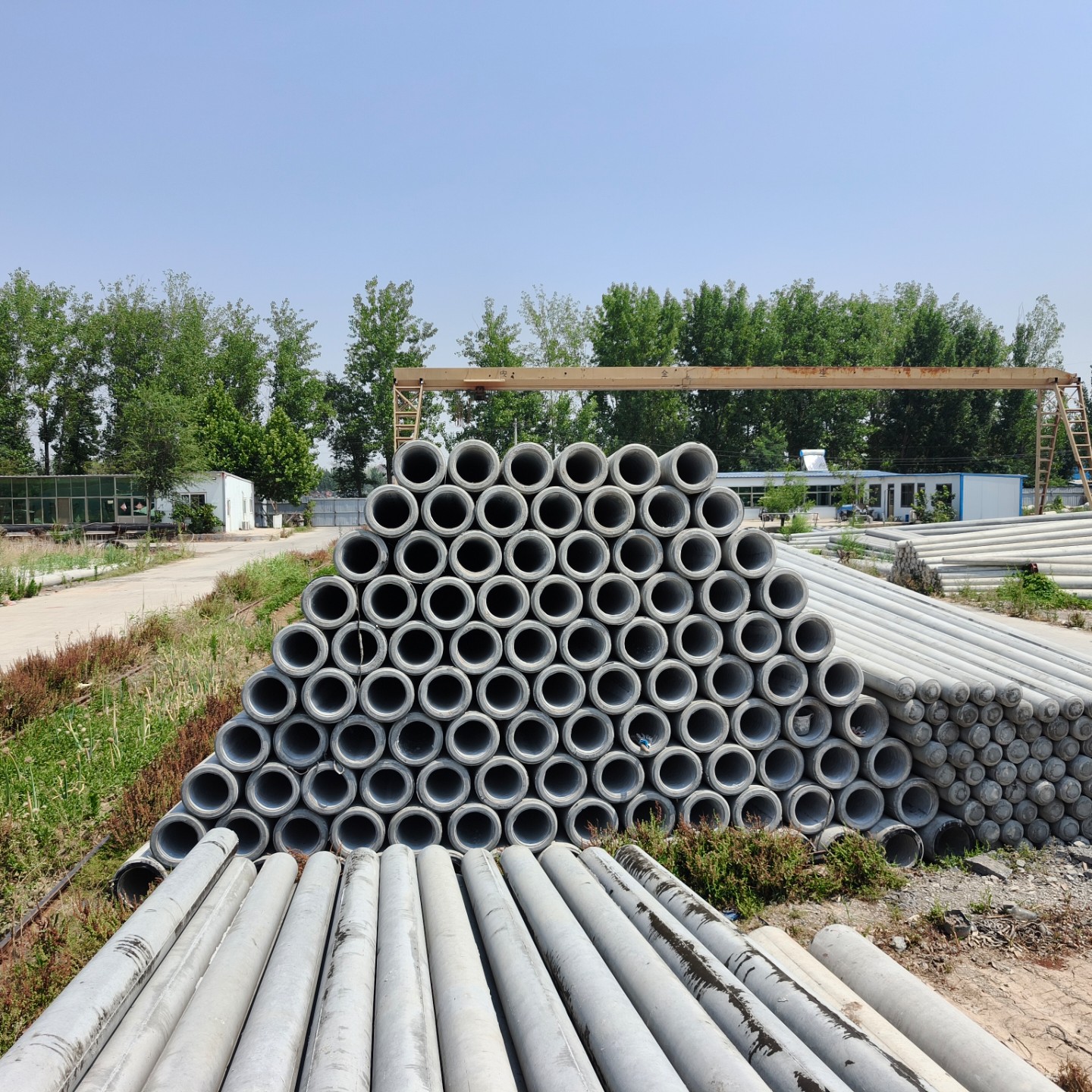 沧县190×10米水泥电线杆