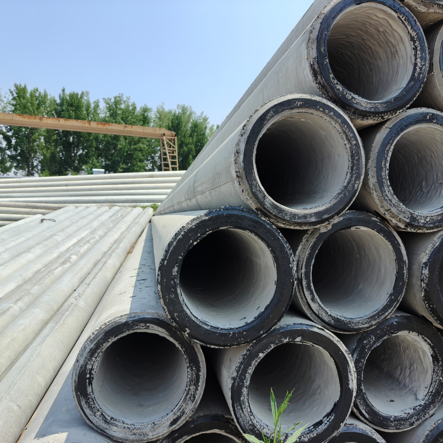 沧县10米预应力水泥电杆